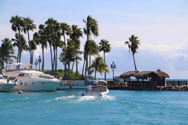 10929015_893104344085784_146094845456013305_n